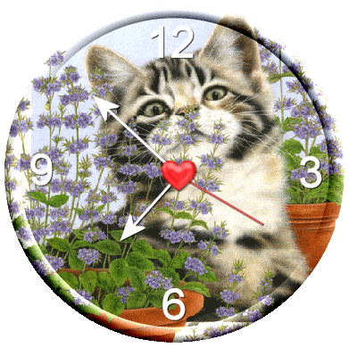 83751661.gif
